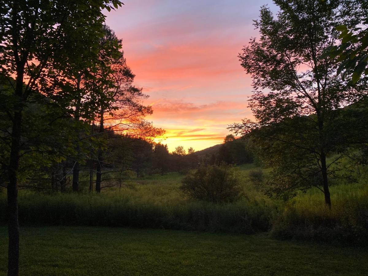 Maples Retreat - 2 Acres - Fireplace Ellicottville Exteriör bild