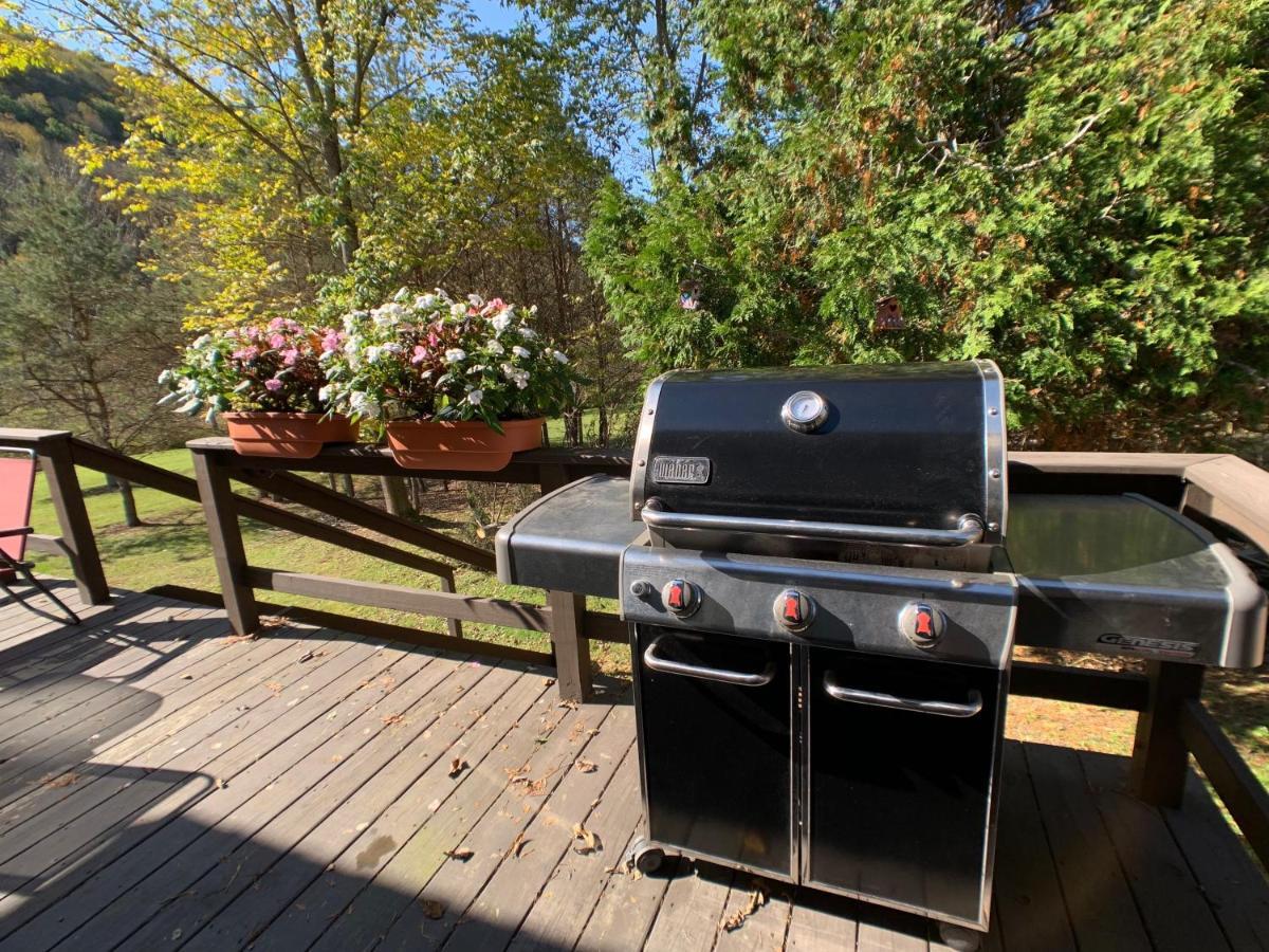 Maples Retreat - 2 Acres - Fireplace Ellicottville Exteriör bild